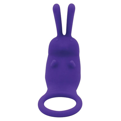 The Cock Hopper Cock Ring & Rabbit Bullet Vibe from Natalie's Toy Box