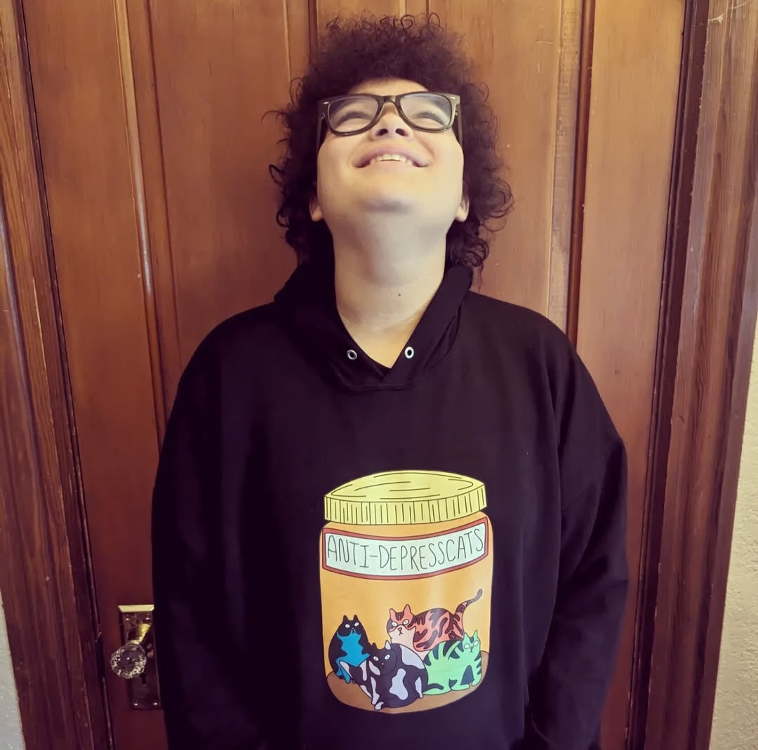 'Take Your Anti-Depresscats!' Grown Folks Hoodie